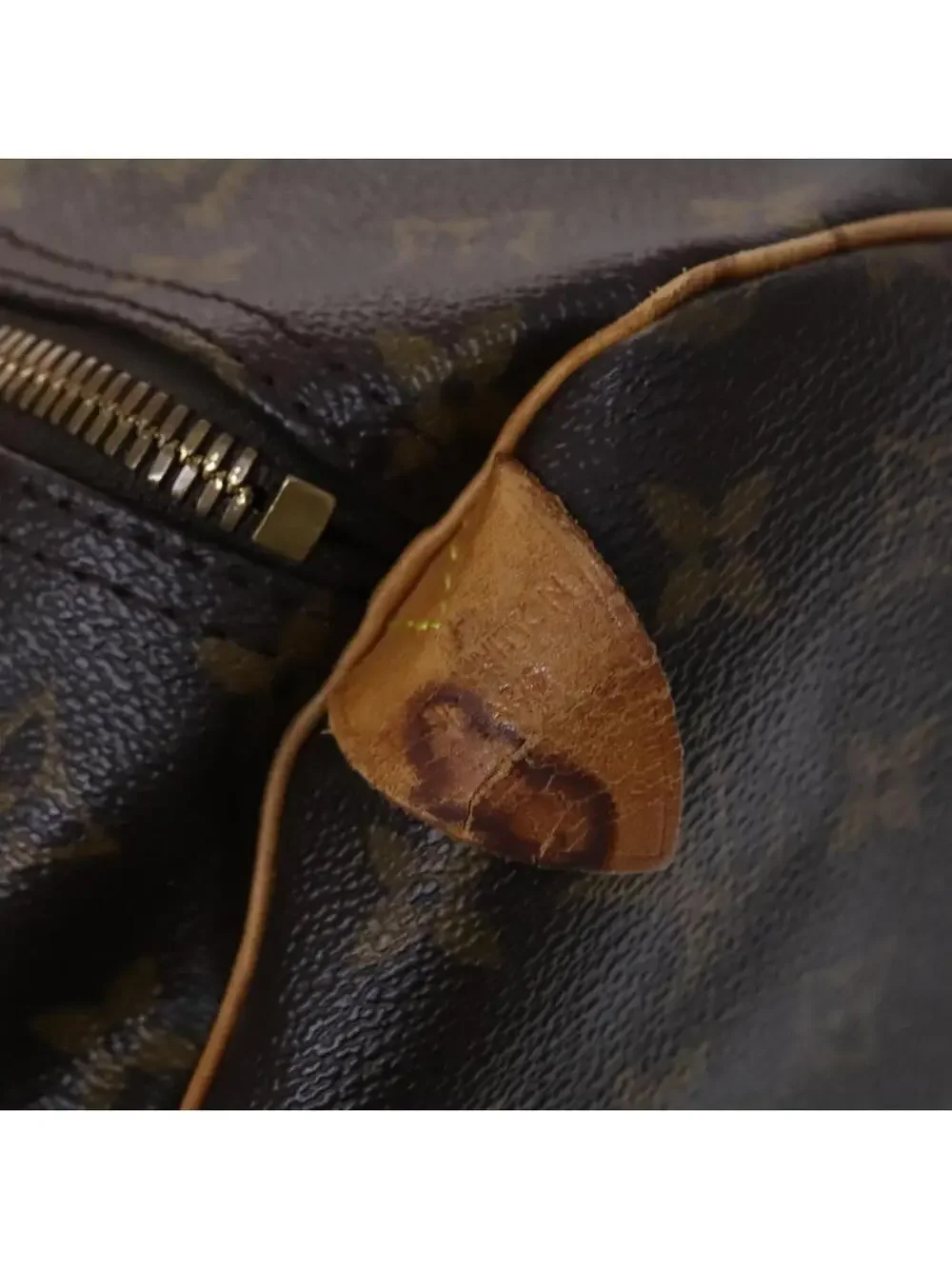 Louis Vuitton elevate your